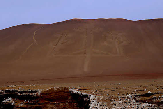 Candelanbra in Paracas Reserve